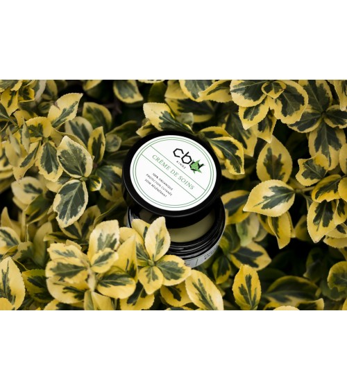 Crème de soins CBD Kingz